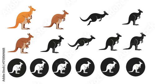 Kangaroo Vector Set - Isolated Wildlife Illustration Collection for Logo and Mascot Design
