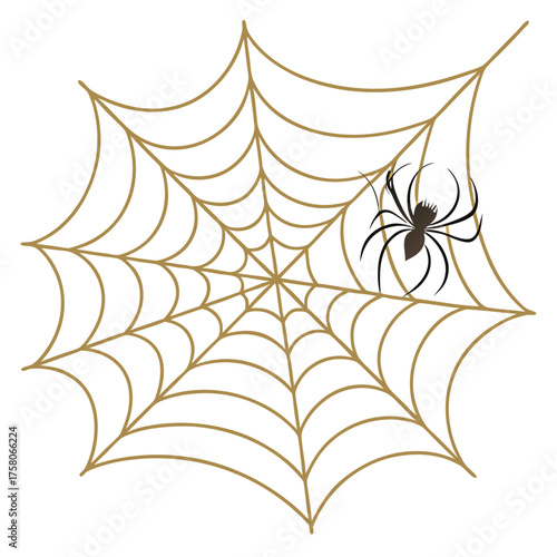 Halloween spooky spiderweb with black spider decoration vector
