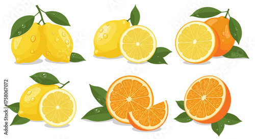 A vibrant collection of fresh citrus fruits including lemons and oranges.