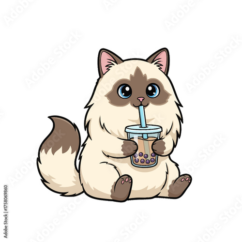 Fluffy Ragdoll Cat Drinking Boba Bubble Tea Kawaii Cartoon