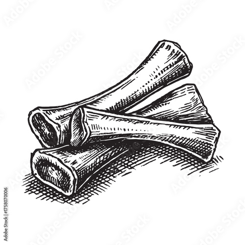 Hand drawn marrow bones illustration in vintage engraving style for menu, packaging, or healthy food design.