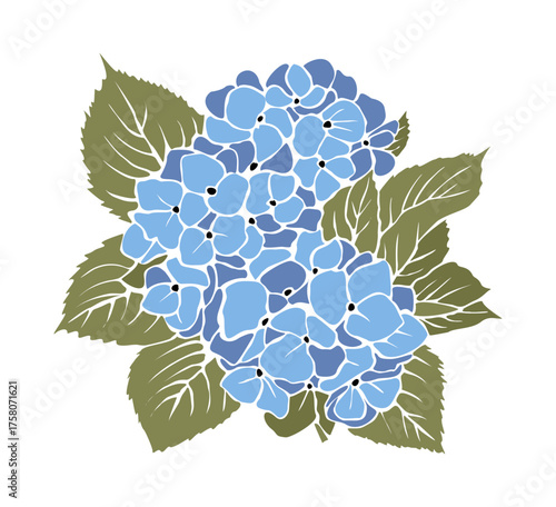 Stylized vector of a blue hydrangea flower with sage green leaves, minimalist design, clean outlines, solid colors, modern botanical illustration on transparent background