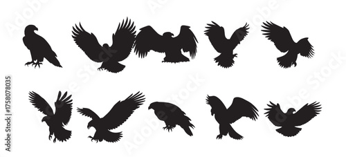 Collection of majestic eagle silhouettes in various poses.