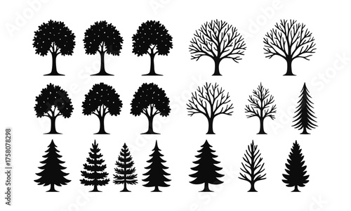  Tree Silhouette Vector Collection — Deciduous & Conifer Icons Vector illustration, easily editable..