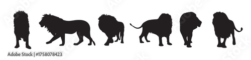  lion silhouette vector 