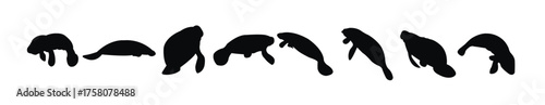 manatee silhouettes vector
