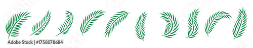 palm sunday vector