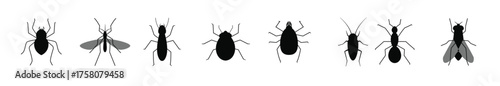 Termite Vector