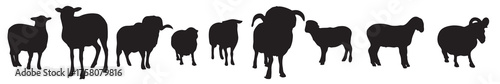 sheep silhouette vector