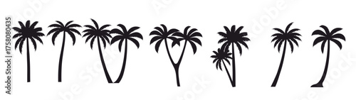 various coconut palm silhouettes on the with background