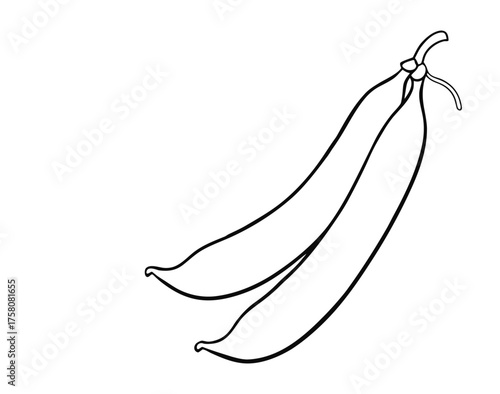 A fun green beans coloring page showing long, slender pods with seeds inside. Kids can color them in shades of green while learning about healthy vegetables.
