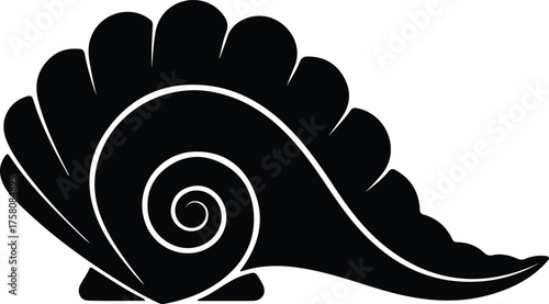 Vector Conch shell spiral seashell black and white silhouette illustration
