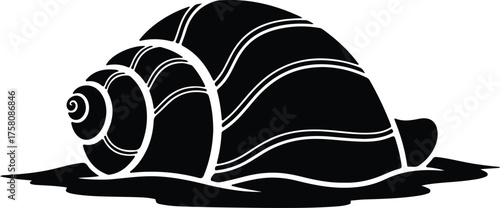 Vector Sea shell conch ocean animal decorative silhouette illustration