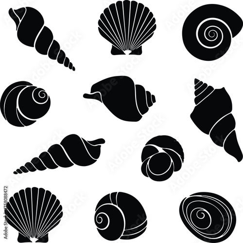 Vector seashells collection different kinds of shell silhouette illustration