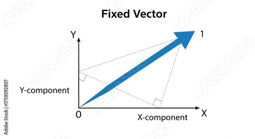 Diagram showing fixed vector concept with labeled X and Y components, used in physics and mathematics lessons.