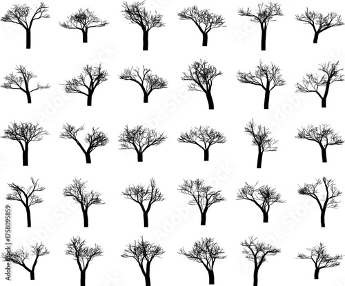 Hand made Set of bare tree silhouettes diverse winter tree shapes vector design elements for nature illustrations and seasonal graphics By illus