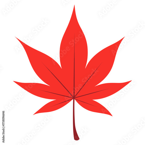 Red japanese maple leaf illustration autumn canadian vector