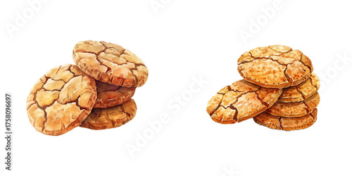 ginger molasses cookies watercolor vector illustration