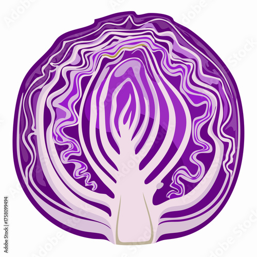 Close up sliced or cut fresh purple or red cabbage in a half, top view flat lay to present surface and texture of cabbage use for background or wallpaper.