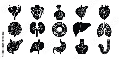 Collection of black and white silhouette illustrations of human internal organs and body systems
