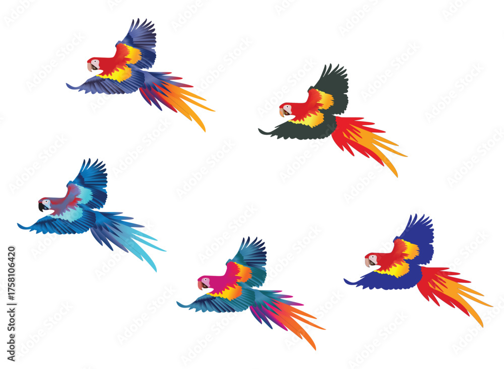 Fototapeta premium Flying macaw parrot vector illustration