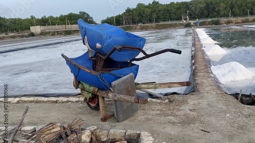 cart as transporting salt harvest