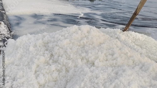 salt farming harvest on the field