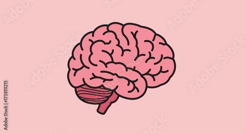 Isolated Pink Human Brain Organ Cartoon Illustration