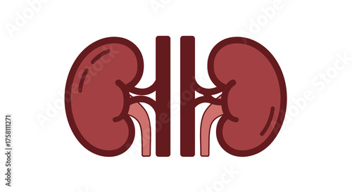 Paired Renal Organs Medical Icon Vector