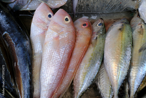 Photos Fresh fish for sale in local market. Ho Chi Minh city. Vietnam.