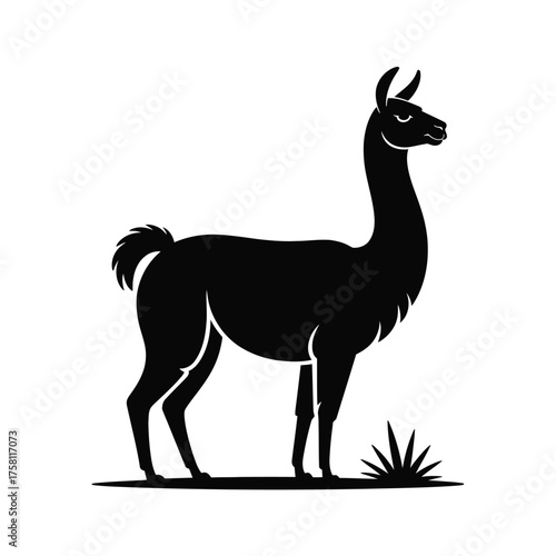 Stylized silhouette of a llama standing in grass