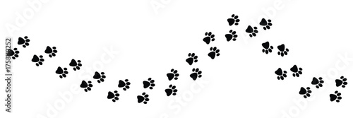 Vector paw trail of animal footprint. Dog, cat, puppy, fox, wolf tracks isolated on white background. Animal tracks in silhouette. Wild animal footsteps in eps 10.