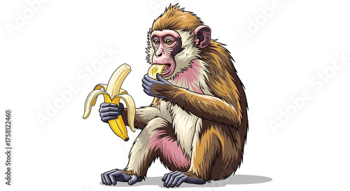 Cartoon Monkey Eating Banana Brown Fur Pink Skin Gray Hands.