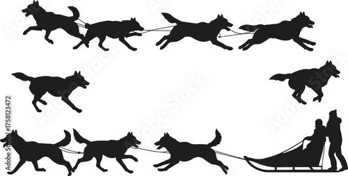 Dog sledding silhouette, winter sport, sled dogs running, musher guiding, teamwork motion, Arctic travel, snowy terrain, vector art, outdoor adventure, harness