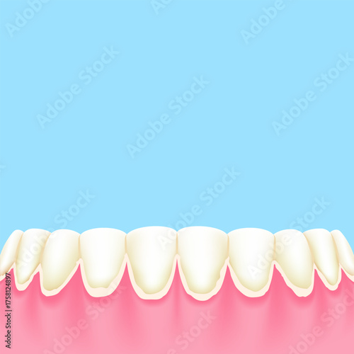 Lower teeth (Tartar) - Text box sign blank banner (square) illustration vector design. Dental care concept.