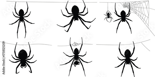 Spider silhouette vector set, hanging spider clipart, spooky web icons, Halloween insect graphics, black arachnid illustration, horror theme art