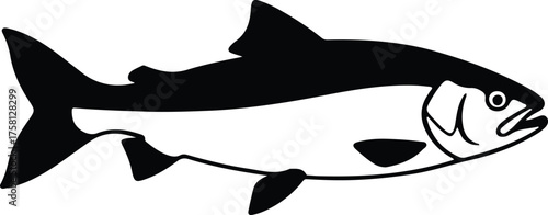 Vector Fish salmon freshwater monochrome outline swimming silhouette Illustrator