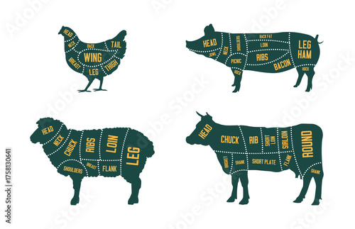 The Carnivore Diet - What to Eat - Meat