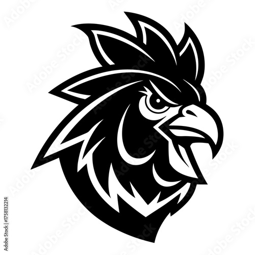 rooster isolated on white