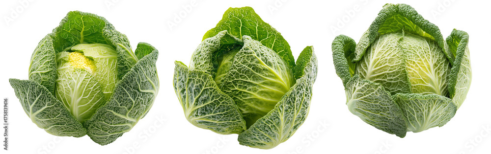 Fototapeta premium Whole green savoy cabbage with textured crinkled leaves isolated on transparent background. Concept of fresh organic vegetables and healthy eating