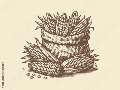 corn cobs in sack engraving vintage vector illustration
