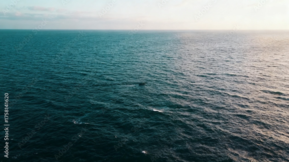 Obraz premium sea and sky