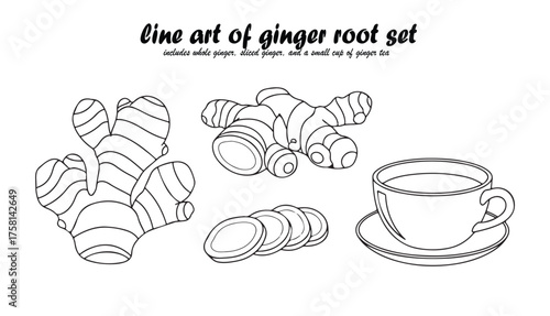 Line art illustration of ginger root, slices, and a cup of tea, all in black and white.