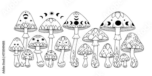 Mystical mushrooms isolated clipart, magic line celestial mushrooms, floral mystical. Black and white vector illustration.
