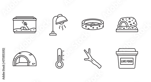 Black outline icons depicting reptile and amphibian supplies including a terrarium, heat lamp, water dish, hides, thermometer, climbing branch, and live food container.