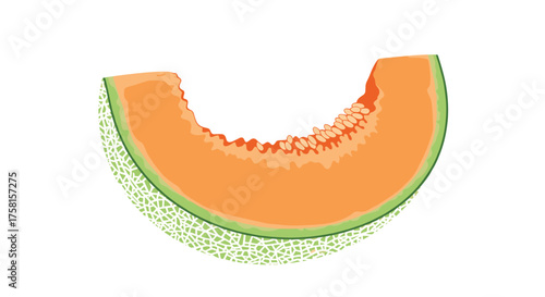 A delicious slice of cantaloupe melon with its vibrant orange flesh and green rind.