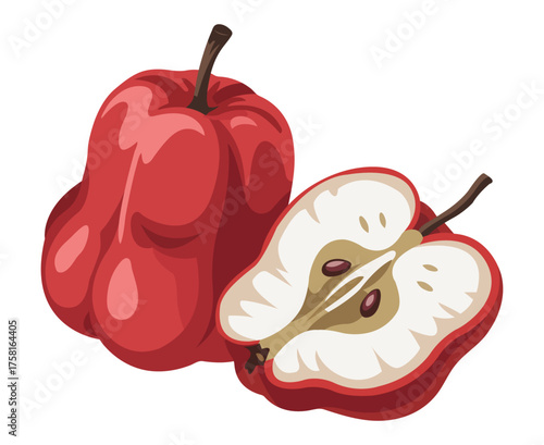 A illustration depicting a whole and halved rose apple fruit