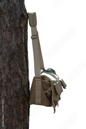 Shoulder bag hanging on pine tree