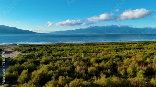 A beautiful aerial view of a lakeshore with a wide expanse of green coastal vegetation under a partly cloudy sky with mountains on the horizon a serene and natural borderland