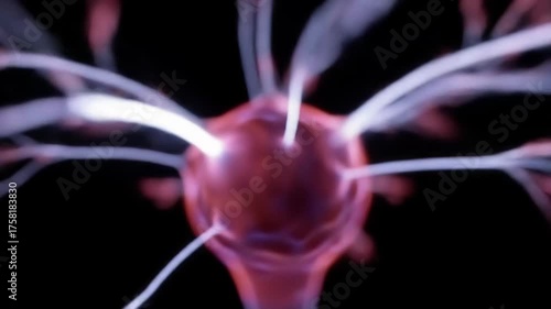 Abstract plasma globe energy and light forms on dark background